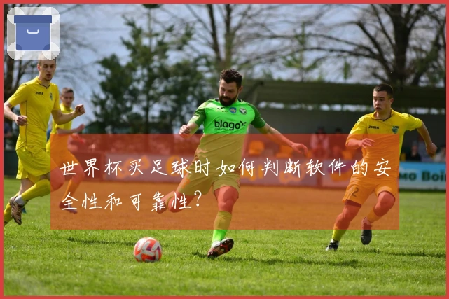 世界杯买足球时如何判断软件的安全性和可靠性？