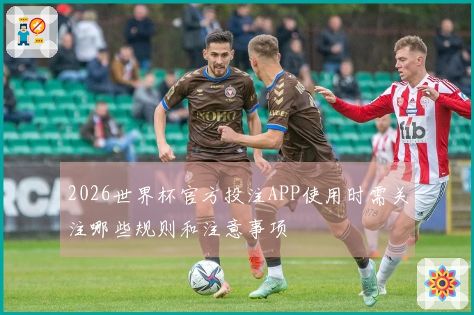 2026世界杯官方投注APP使用时需关注哪些规则和注意事项