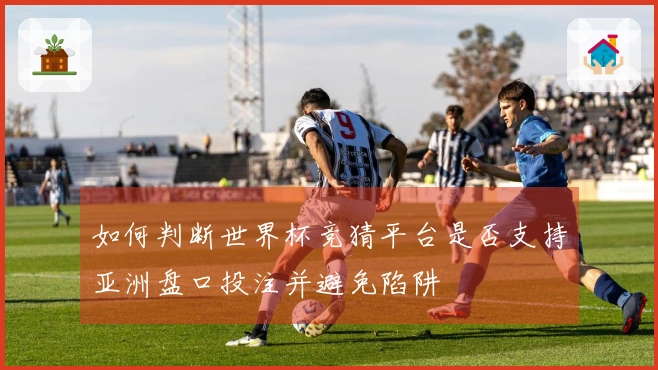 如何判断世界杯竞猜平台是否支持亚洲盘口投注并避免陷阱